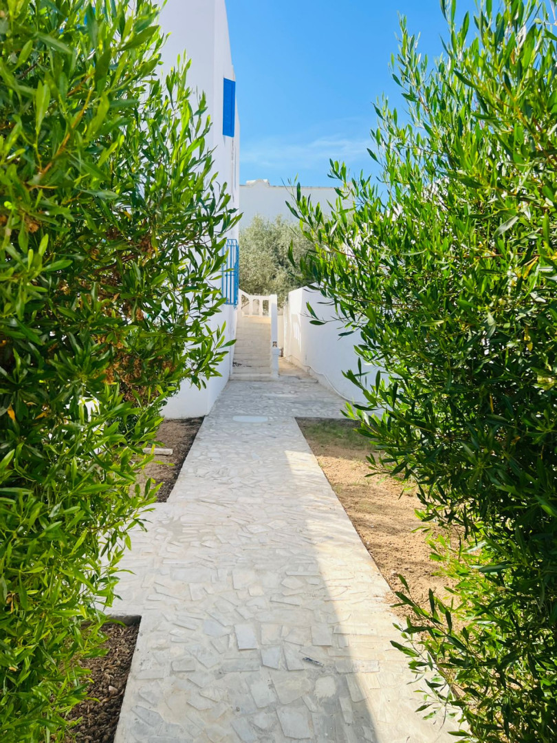 Dar Kbaier 3