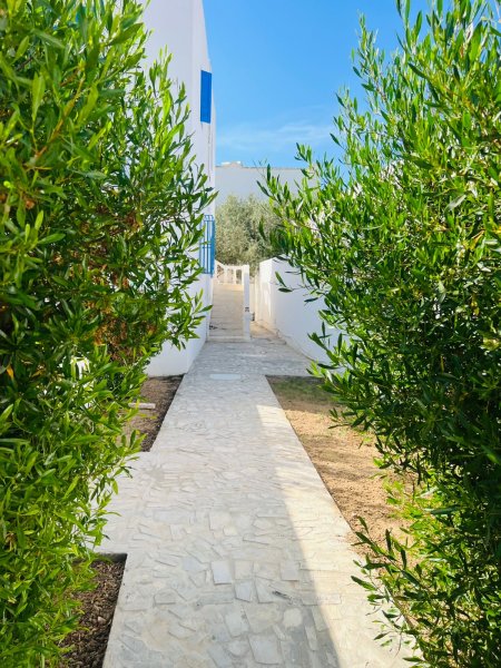 Dar Kbaier 3